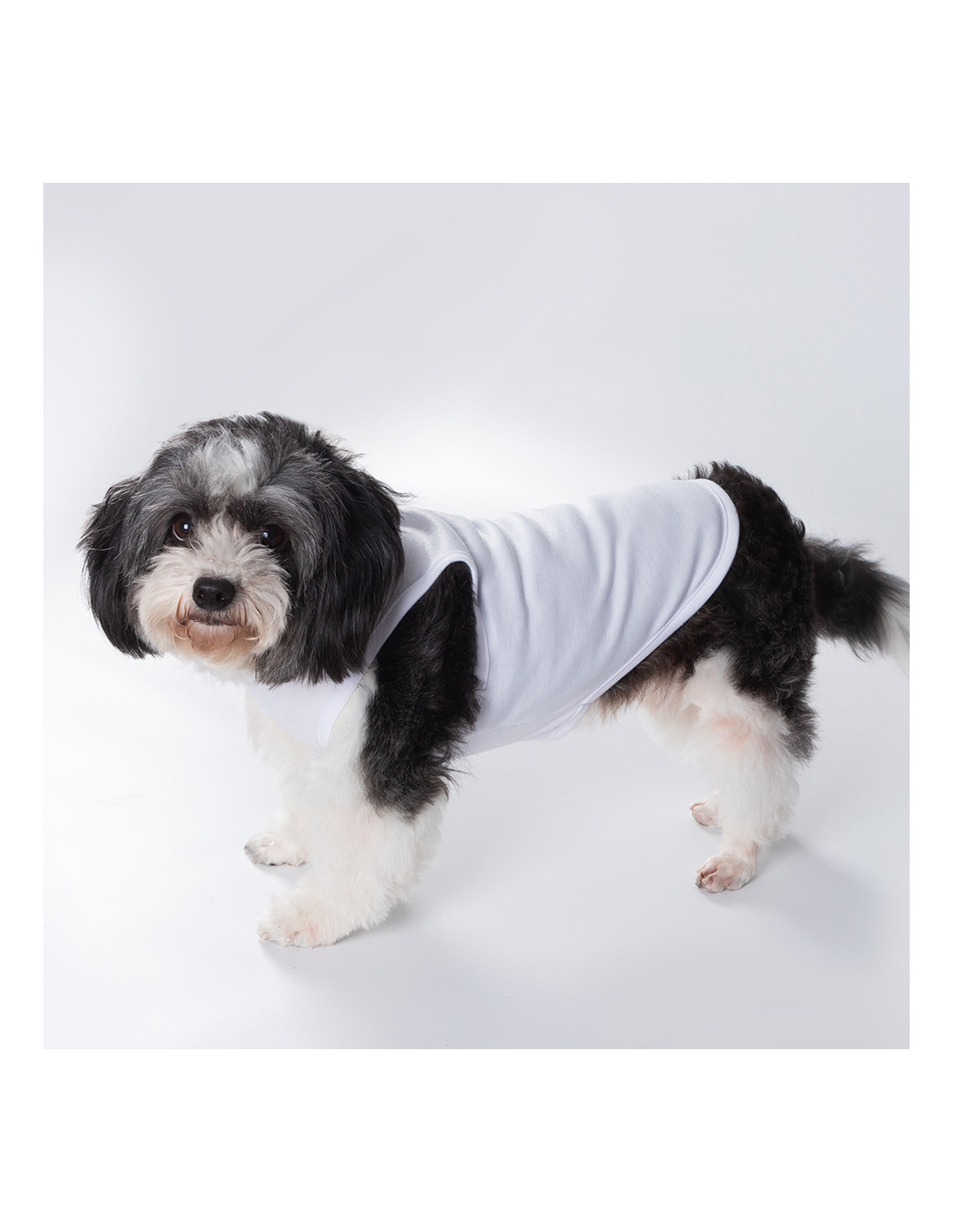T-shirt débardeur pour chien à sublimation XS (blanc)