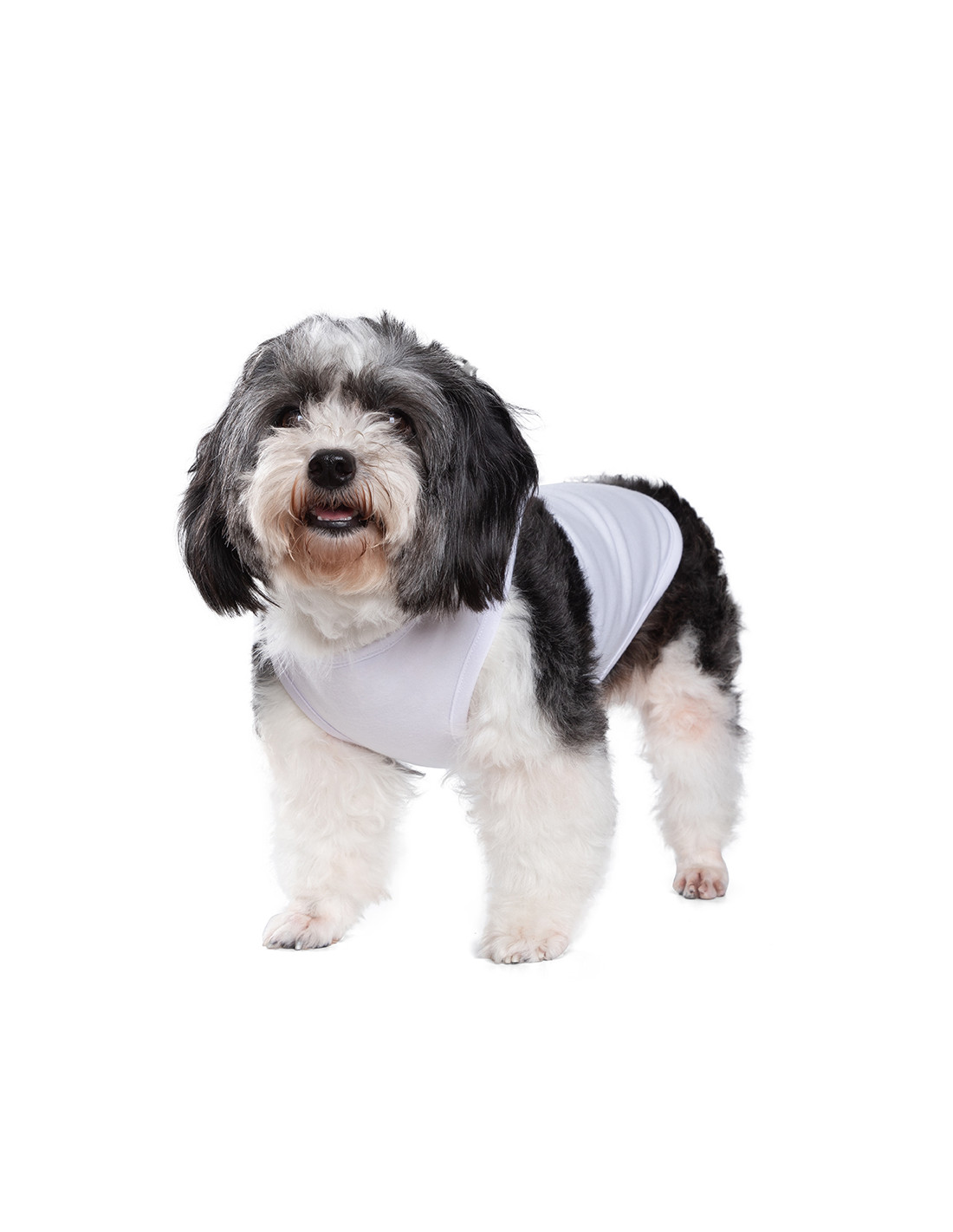T-shirt débardeur pour chien à sublimation M (blanc)