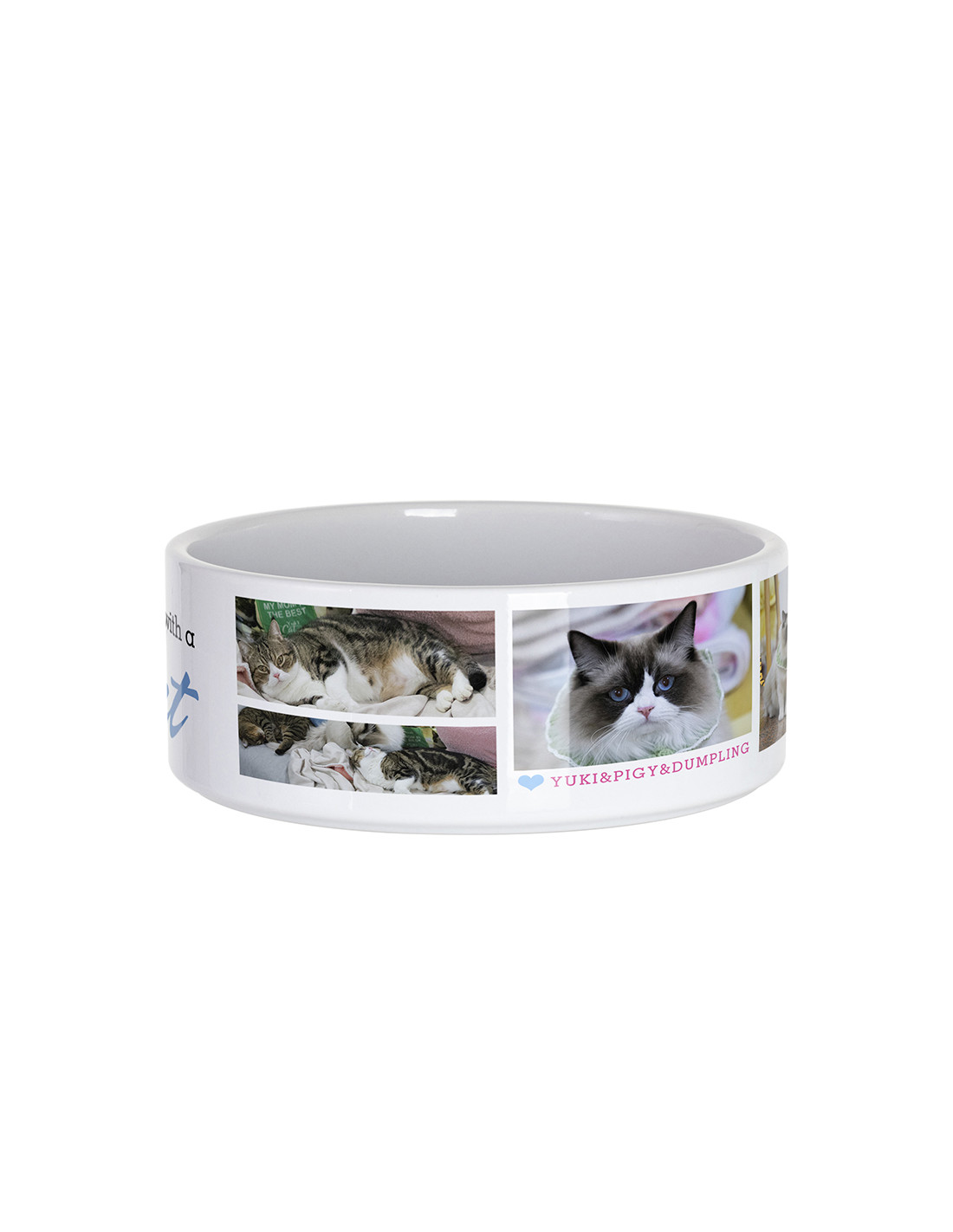 Bol pour chat