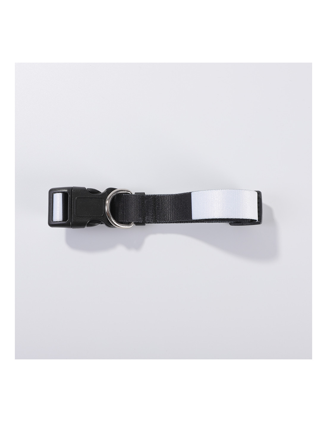 Collier pour chien (moyen, 2,5 x 56 cm)