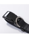 Collier pour chien (moyen, 2,5 x 56 cm)