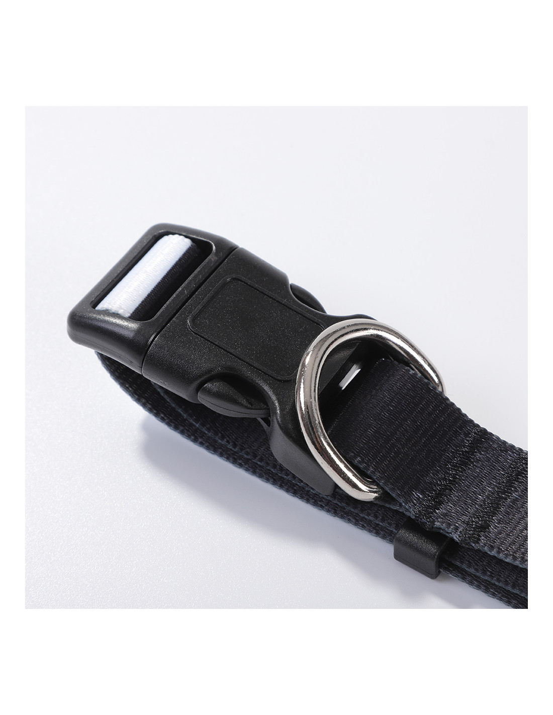 Collier pour chien (moyen, 2,5 x 56 cm)