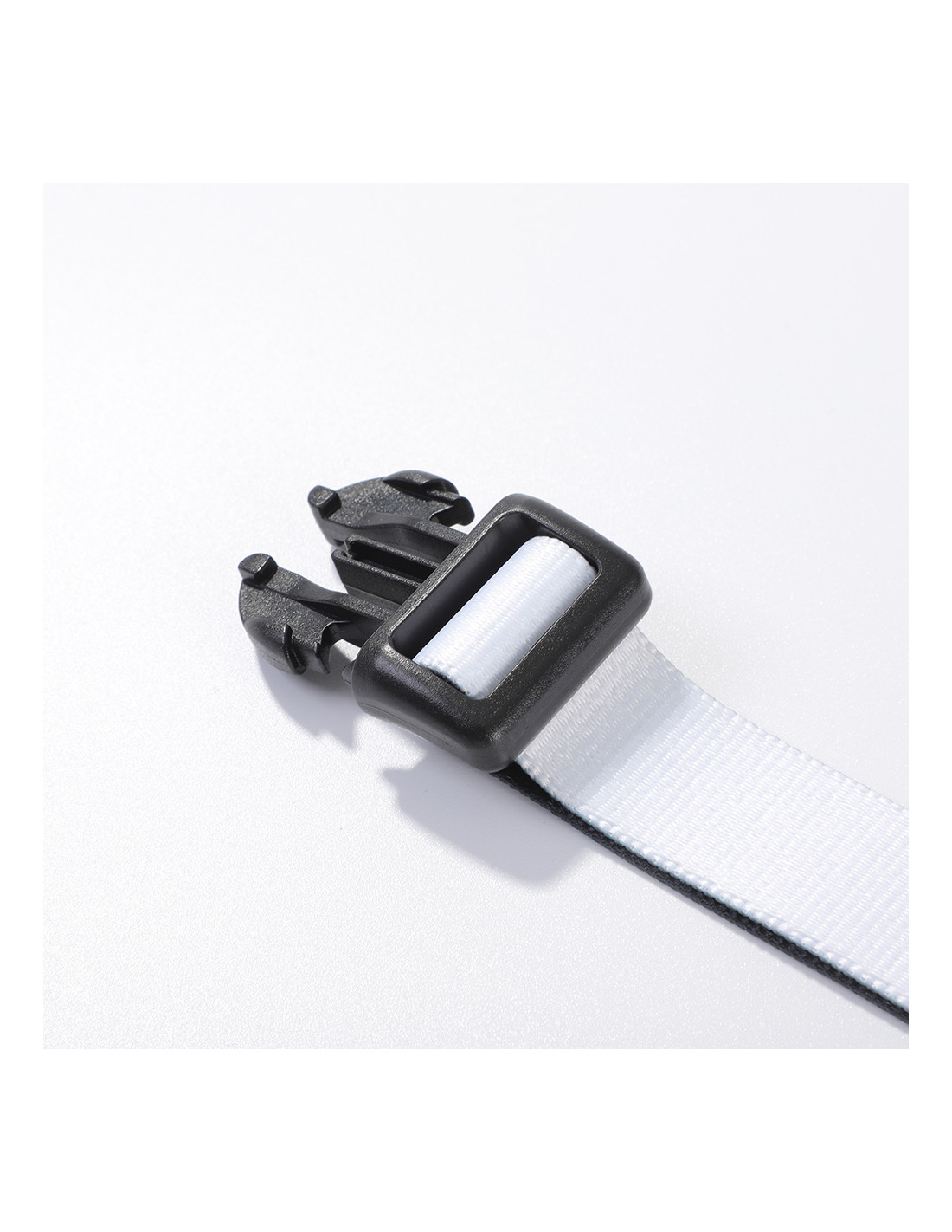Collier pour chien (moyen, 2,5 x 56 cm)