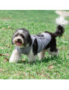 T-shirt débardeur pour chien à sublimation XS (gris)