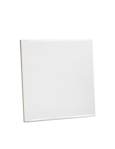 Tiles 20.2*20.2cm