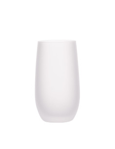 13oz/400ml Stemless Wine Glass(Frosted)