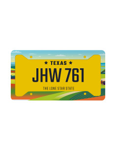 American License Plate (6 "X12", A)