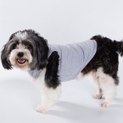 T-shirt débardeur pour chien à sublimation XS (gris)