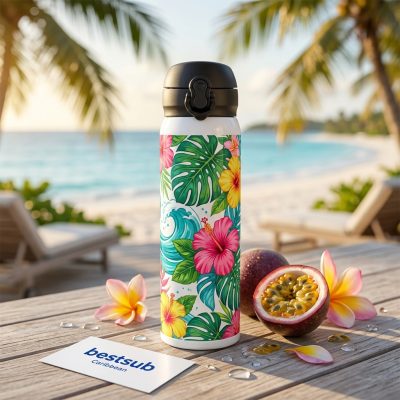 Botella de acero inoxidable de 500 ml/17 oz con tapa pop (blanca)